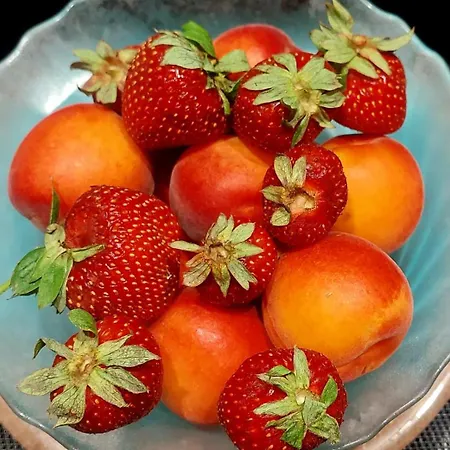 Bed & Breakfast Bixio 34 4*