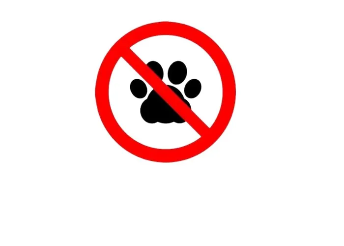 Bixio 34 Bed & Breakfast