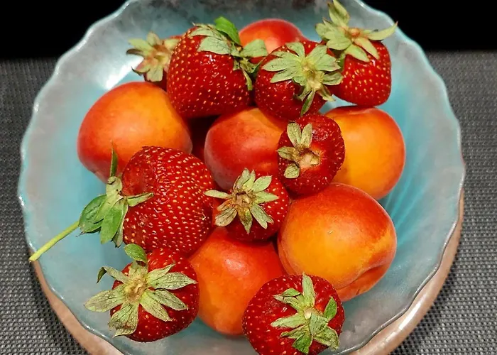 לינה וארוחת בוקר Bixio 34 4*